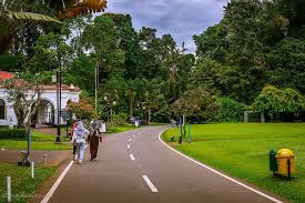 Jasa Desain Taman Bogor