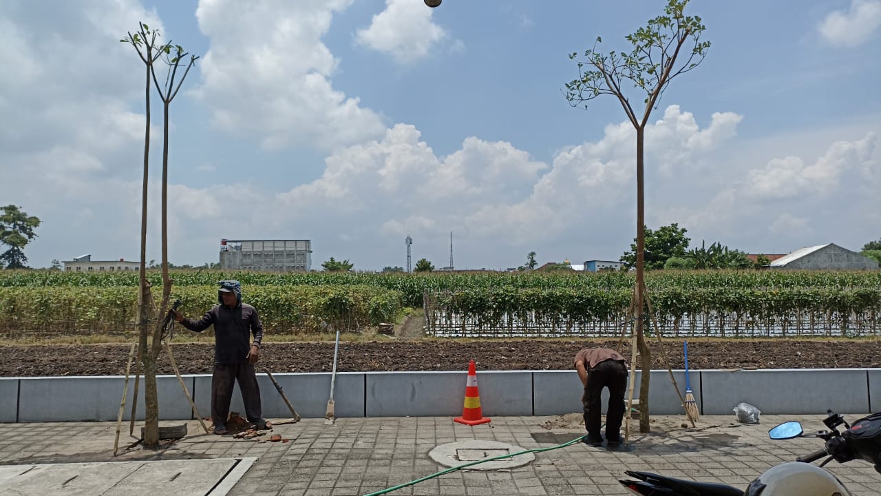 Hardscape dan elemen pendukung