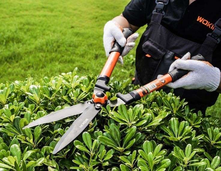 Perawatan taman dan maintenance landscape