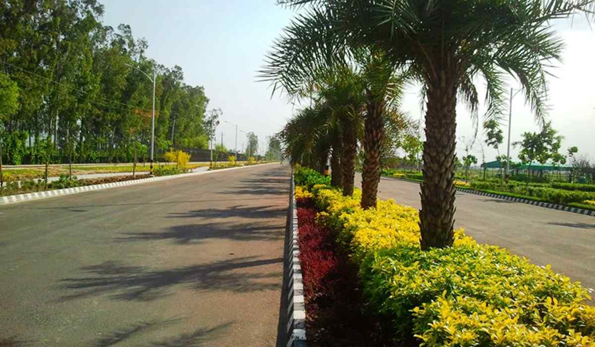 Penghijauan area komersial dan kantor