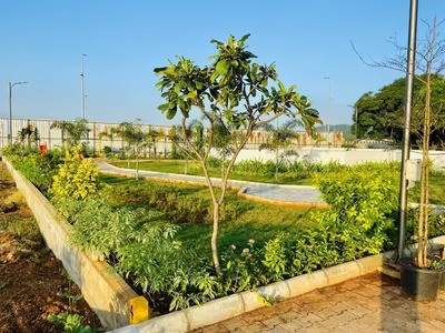 Pohon dan tanaman landscape untuk proyek penghijauan Tamannika