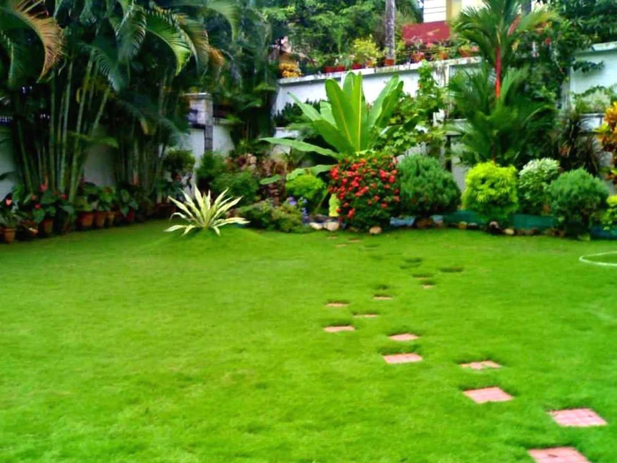 Jasa taman Malang untuk rumah cafe villa dan penghijauan bangunan