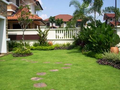 Tanaman hias untuk jasa landscape Malang dan taman minimalis