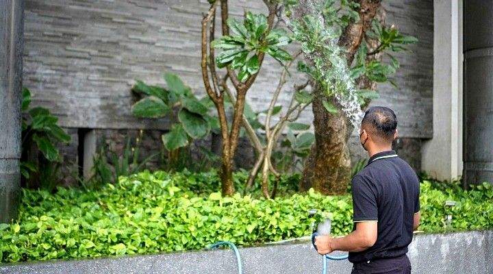 Penyiraman taman setelah proses penanaman