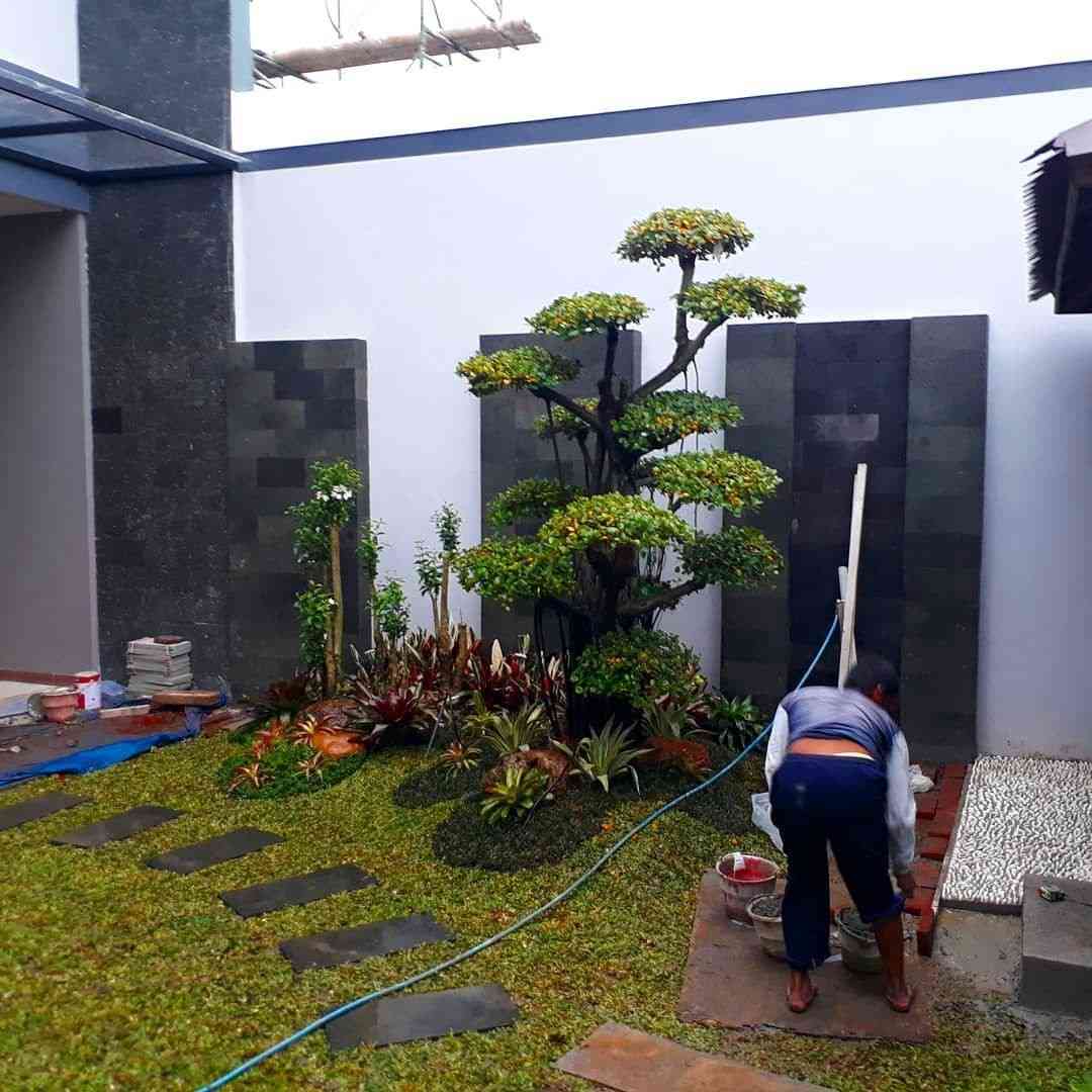 Perawatan taman agar tanaman tetap rapi dan sehat
