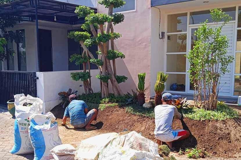 Proses penanaman pohon di taman oleh Tamannika
