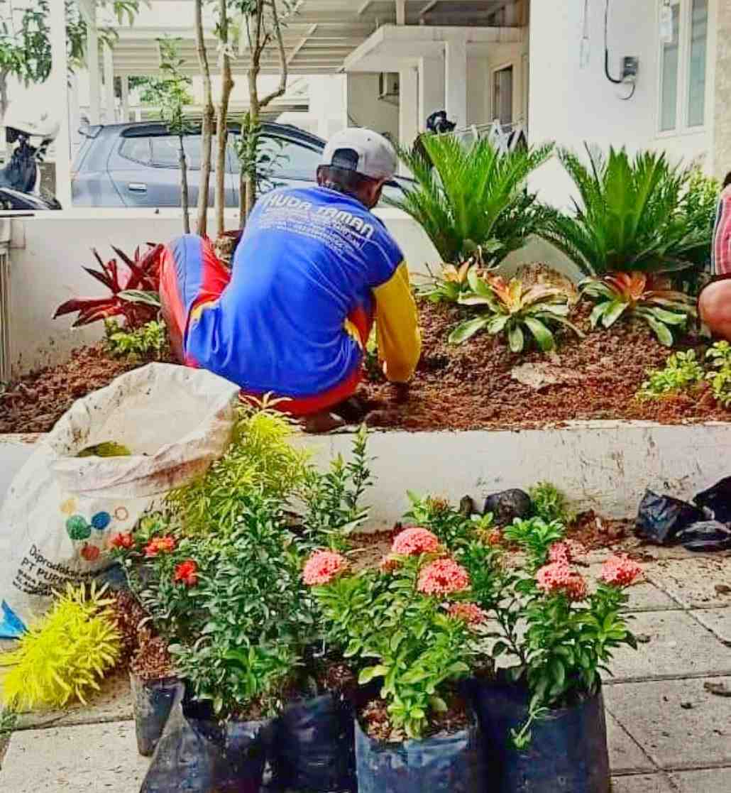 Proses penanaman tanaman hias di taman