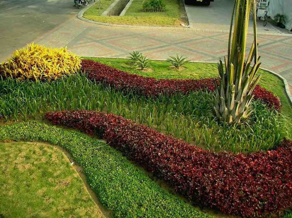 Tukang taman Kediri profesional untuk pengerjaan taman rumah